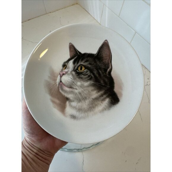 Schumann Arzberg Germany Bavaria Gray Cat Plate 7 1/4" Golden Crown E&R - Picture 4 of 8